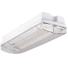 Oprawa awaryjna Orion II 100 4W 3h SA AT IP65 SO