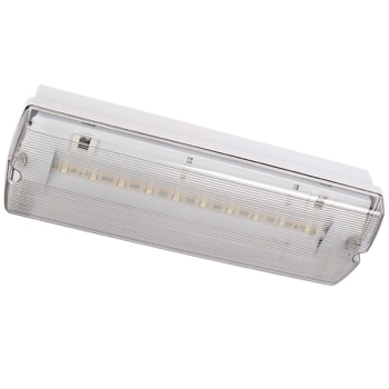 Oprawa awaryjna Orion II 100 4W 3h SA AT IP65 SO