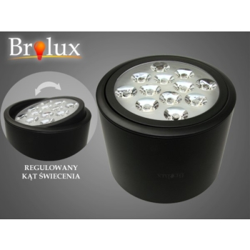 Downlight led Ryman 12W  WW   czarny