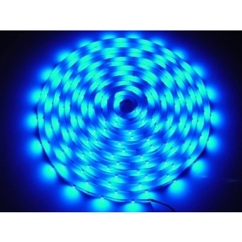 Taśma LED Premium 2835  5m/300diod   niebieska  IP