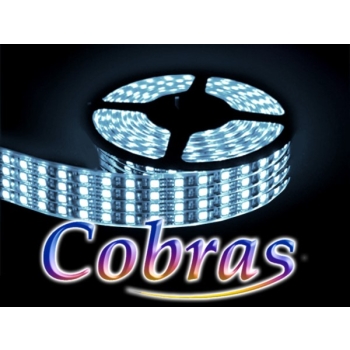 Taśma LED COBRAS 3528 biała zimna 4,8m/2160 24V