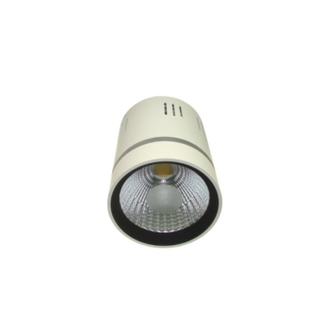Downlight LED COB LONER 10W+2W biały ciepły+niebi