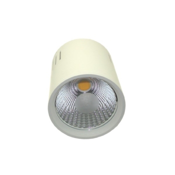 Downlight LED COB LONER 15W DW