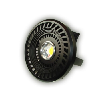 Naświetlacz LED Rodos  30W biały dzienny czarny