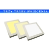 Panel led Rektus  6W 230V  WW+DW+CW