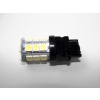 Żarówka T20 3156 5050*24 12V 3,0W CW -