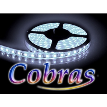 Taśma LED COBRAS 5050 biała zimna CC 5m/300diod