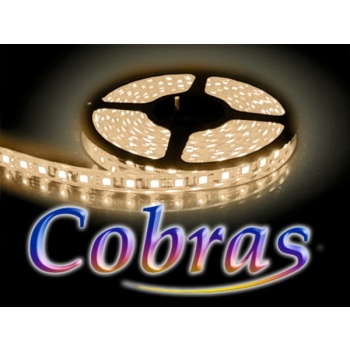 Taśma LED COBRAS 5050 biała ciepła CC 5m/300diod