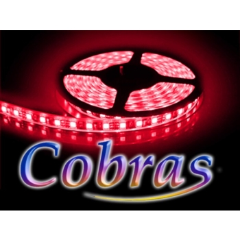 Taśma LED COBRAS 3528 czerwona 5m/300diod