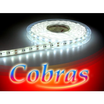 Taśma LED COBRAS 3528 biała zimna CC 5m/300diod I