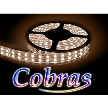 Taśma LED COBRAS 3528 biała ciepła 5m/1200 24V