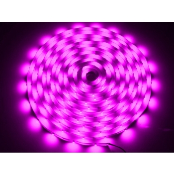 Taśma LED 5050 różowa 5m/300diod --