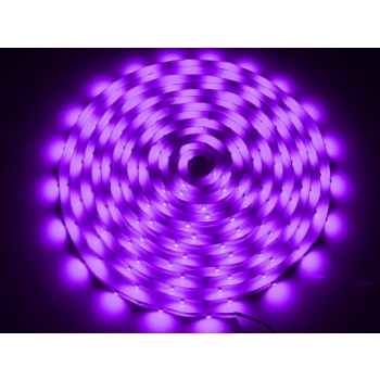 Taśma LED 5050 fioletowa 5m/300diod --