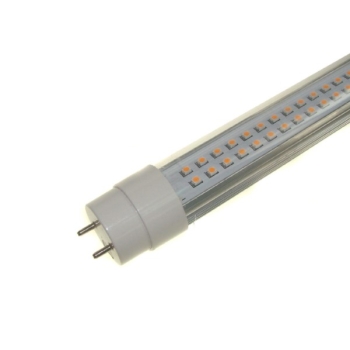Świetlówka led T8 do oświetlenia pieczywa -