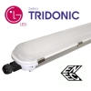 Oprawa led Bray 150cm  78W  4000K   aluminium  150