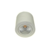 Downlight led Robard 12W DW