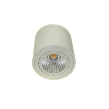 Downlight led Robard 12W DW