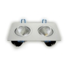 Downlight LED COB Alamo  5Wx2 biały dzienny -