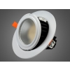 Downlight LED Gripen 38W regulowany DW