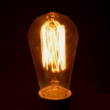 Żarówka węglowa Seleby ST58 60W E27  Squirrel Cage