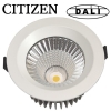 Downlight LED Davels 20W 4000K  Citizen IP65 Dali
