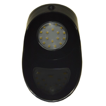 Oprawa elewacyjna LED Palesa 1W 4000K czarna z czu
