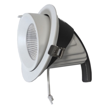 Downlight LED Tilly 50W regulowany 3000K   kąt 38