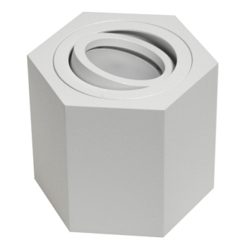 Oprawa sufitowa Areno White ruchoma aluminium 100x