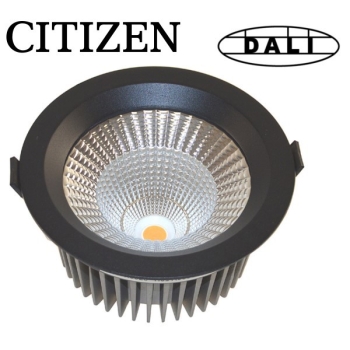 Downlight LED Davels 20W 2700K Citizen IP65 Dali