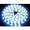 Taśma LED Premium 2835  60d/m 100m 6000k IP20
