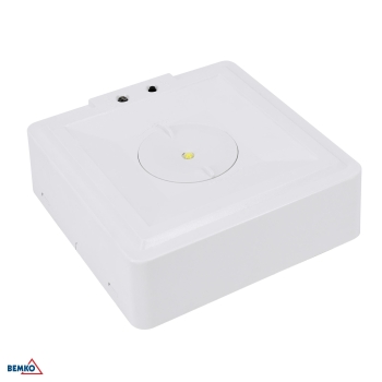 OPRAWA AWARYJNA SKALER KWADRATOWA 3W OPTYKA OTWARTA IP40 AUTOTEST 1H CNBOP