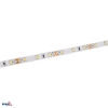 TAŚMA LED PREMIUM 12V DC 2835 300LED/5M 4,8W/1M IP65 BIAŁA ZIMNA